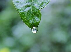 unsplash-525d659117c91-1